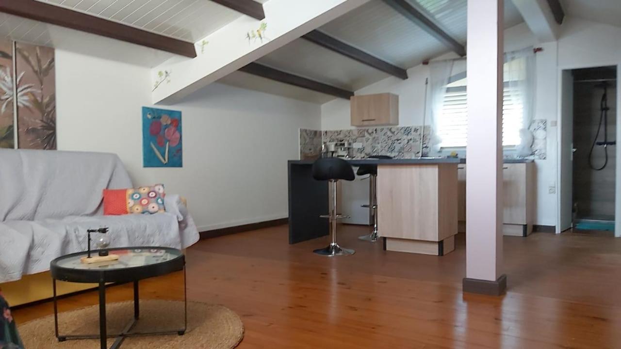 Chambre D'Hote Et Loft Dans Maison De Charme Piscine A Debordement La Villa Gialla Schoelcher Dış mekan fotoğraf